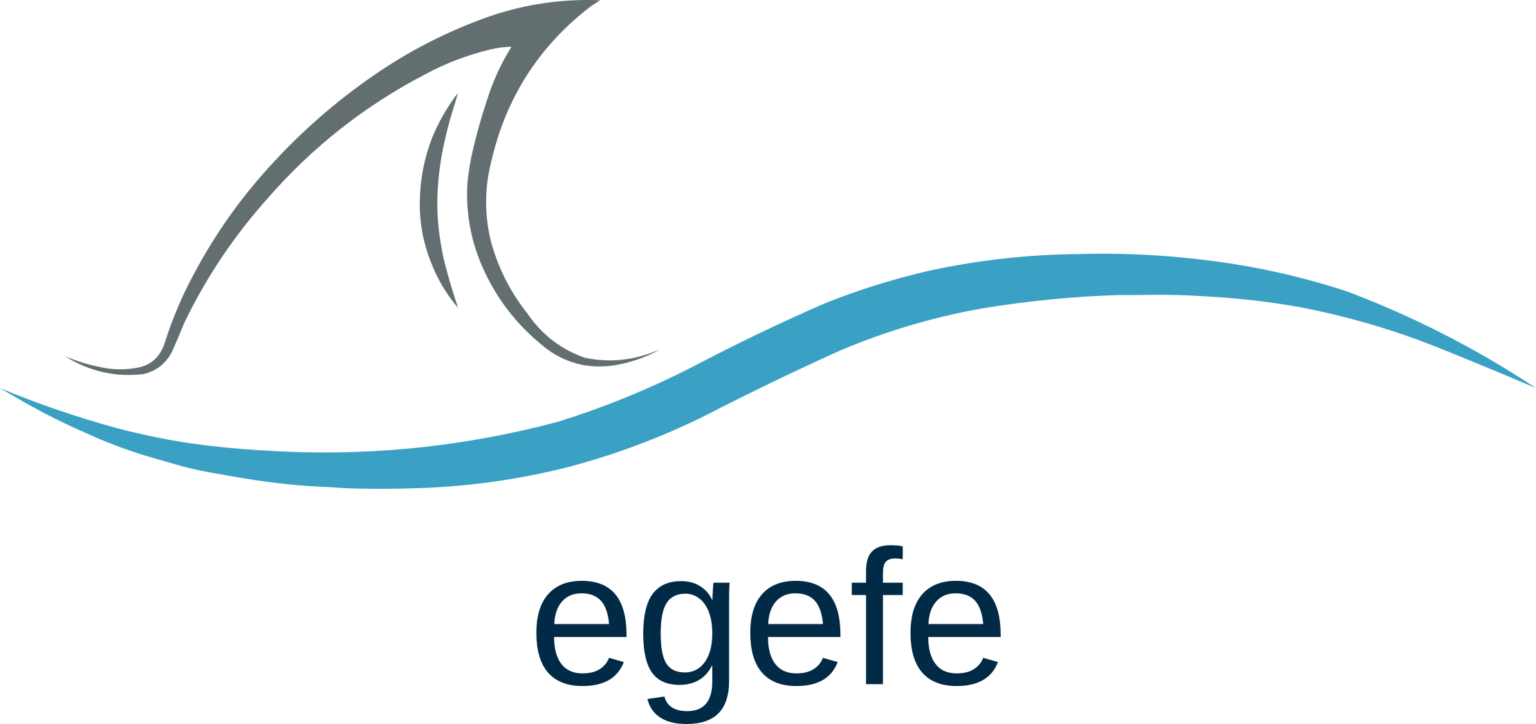 EGEFE SAĞLIK BİLİŞİM